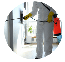 mould-removal-SCE