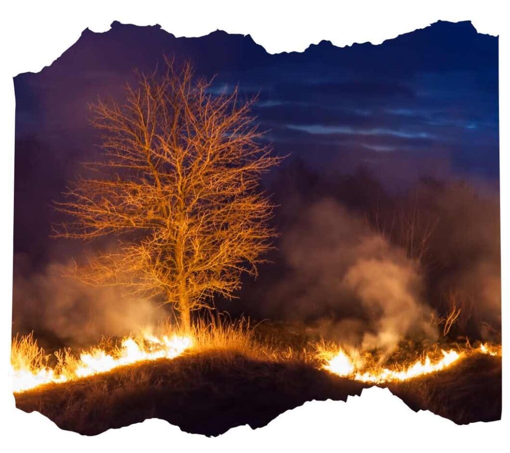 Understanding the Impact of Bushfires Sydney Contracting Engineers at SCE Corp