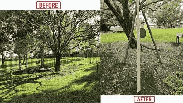 Before and after inspections of tree maintenance in a Northern Sydney